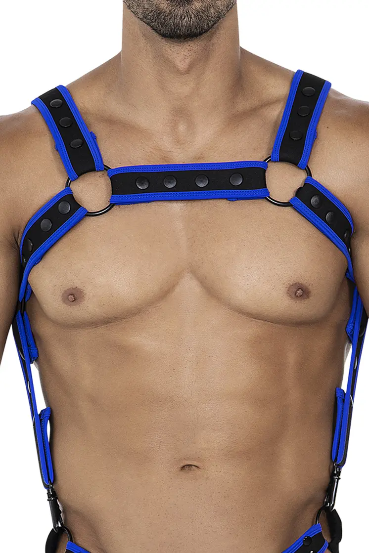 schwarz/neoblauer Brust-Harness 05 - OS