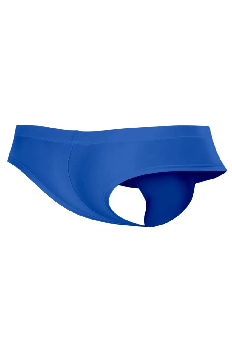 königsblauer Hybryd Cheeky Brief C4MSPX22 - XL