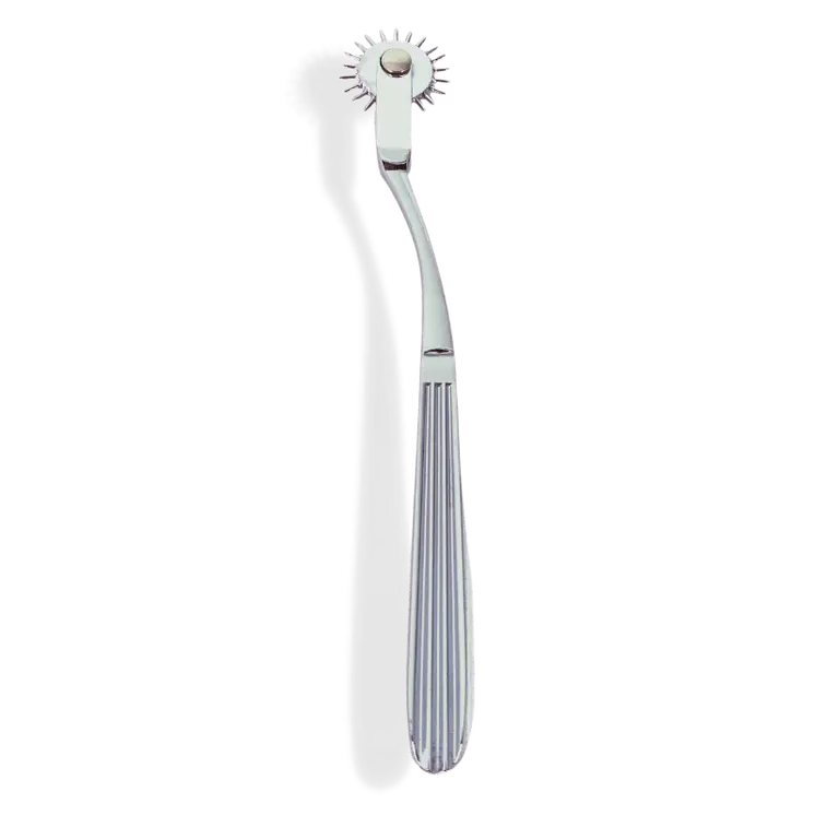 Terra- The Ultimate BDSM Pinwheel and Wartenberg Wheel