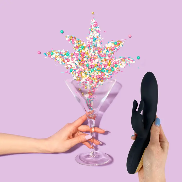 The Girls' Night In Sex Toy Party
