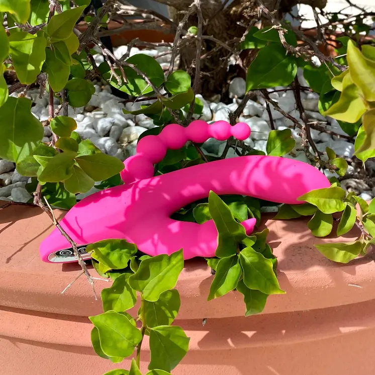 Ambrosia - The Triple Rabbit Vibrator