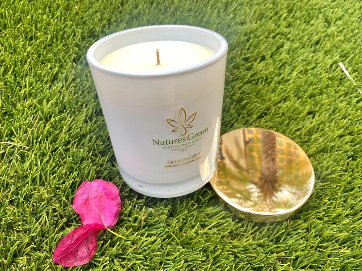 V For Vibes - Vanilla Package: Essential Wellness Enhancements (B2B)