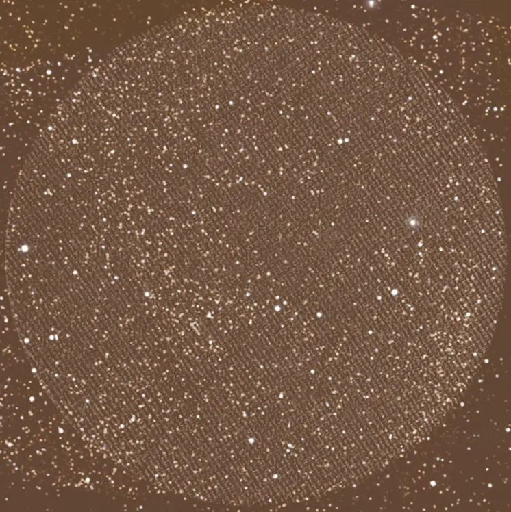 Eyeshadow (Talc-free) (Glitter) (Refill) - Mulch