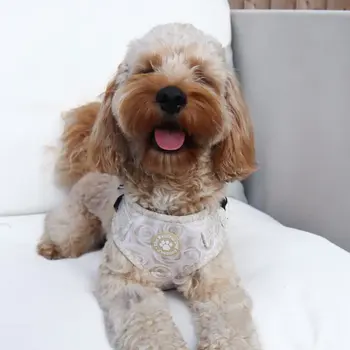 Adjustable Step-In Harness (English Rose) by The Neutral Dog Company