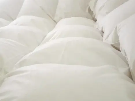 Hotel Quality Comforter with Pillow HunGoose Bedding Set
