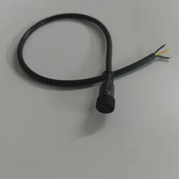 Pigtail Ray Wu