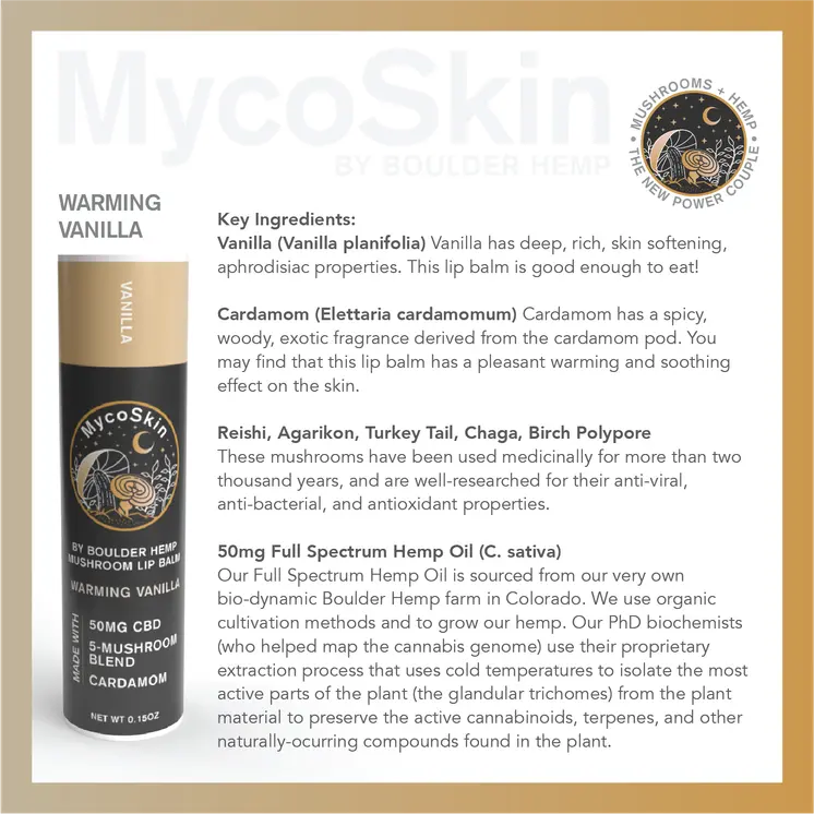 Wholesale Warming Vanilla Cardamom 50mg CBD + Mushroom Lip Balm