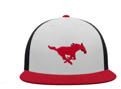 Tampa Mustangs Pony Hat