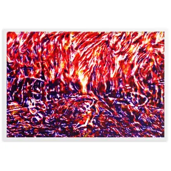 DANCE ME LIKE THE RAIN THAT BURNING OUT THE FIRE AROUND ME Framed Poster