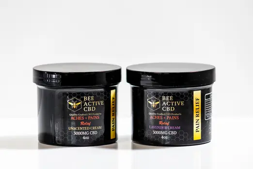 Bee Active CBD Moisturizing Cream — Aches + Pains Relief