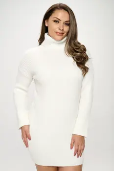 Turtleneck Sweater Dress