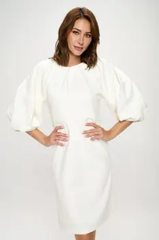 Balloon Sleeve Dress