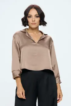 Satin V neck Collared Crop Top