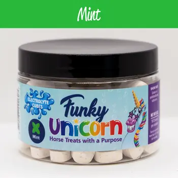 Mint Electrolyte Cubes