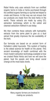 Rebel Herbs Organic Imunade Vegetarian Capsules - 60 Count