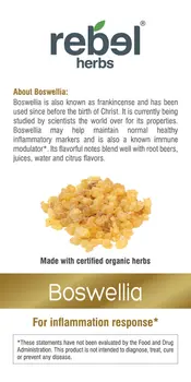 Boswellia Dual Extracted Powder