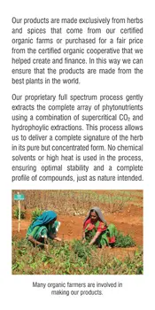 Ashwagandha Capsules