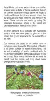 Rebel Herbs Organic Heartade Vegetarian Caps - 60 Count