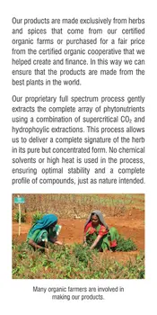 Rebel Herbs Organic Fenugreek Vegetarian Capsules - 60 Count