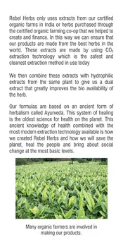 Family Subscription 3 Bottles of Turmeric + 60 capsules