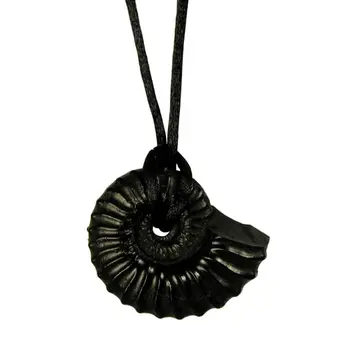 Coal Seashell Pendant from Colombia